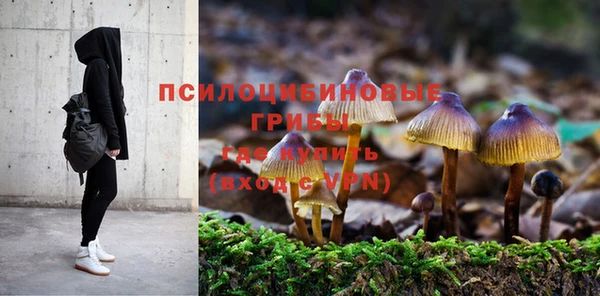 бутират Армянск